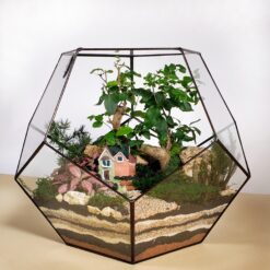 Бонсариум с живыми влаголюбивыми растениями