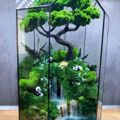 флораріум, мосаріум, краса, декор, подарунок, квіти, день народження