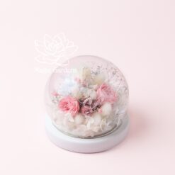 Флорариум с подсветкой в колбе