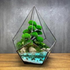 Мосаріум з мохом в краплині Надія