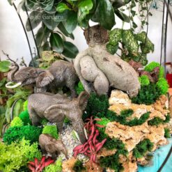 мир природы флорариум