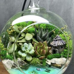 Флораріум Острів