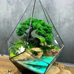 Дерево під склом