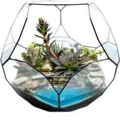 Флораріум із сукулентами у сфері