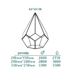 Майстер клас створення флораріуму