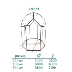 Майстер клас створення флораріуму