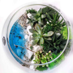 Майстер клас створення флораріуму