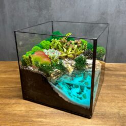 Флорариум в кубе с суккулентами