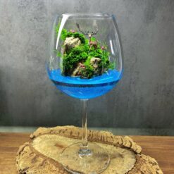 мосаріум, флораріум, подарунок, декор, природа, 8 березня, день народження