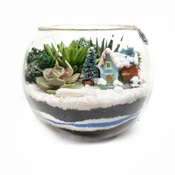 Новогодний флорариум домик с суккулентами
