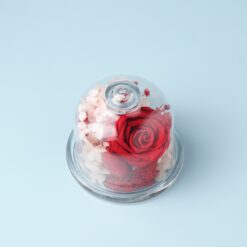 Флорариум из стабилизированных цветов в колбе