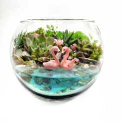 Флорариум с суккулентами и водоемом Влюбленная Пара Фламинго - 15 см