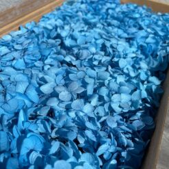 стабілізована гортензія рожева, стабілізована гортензія фіолетова, декоративна гортензія, квіти для декору, рожева гортензія, стабілізовані квіти, стабілізована гортензія 10 грам, квіти для квіткових композицій, квіти для прикрашання, рожева декоративна гортензія, квіти для інтер'єру, сухоцвіти для декору, рожева гортензія стабілізована, квіткові композиції з гортензії, стабілізована