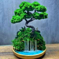 мосаріум, флораріум, декор, мох, рослини, подарунок, день народження