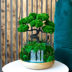 Бонсай над водоспадом зі стабілізованими рослинами