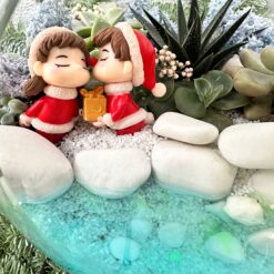 Флораріум новорічні гноми