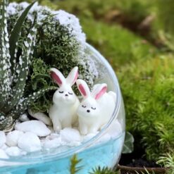 Флорариум с суккулентом Год Кролика