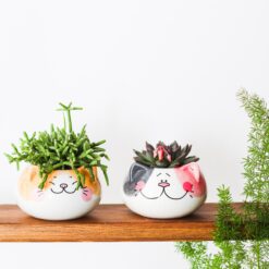 Кашпо у вигляді кота