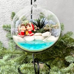 Флораріум у підвісному шарі Новорічний