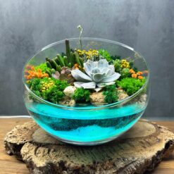 флорариум, цветы в вазе