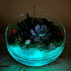 флорариум, цветы в вазе