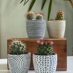 корпоративні подарунки для жінок