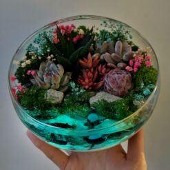флораріум з імітацією водойми та сукулентами