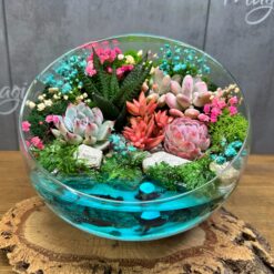 флораріум з сукулентами та підводним світом