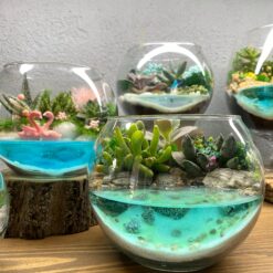 Купить флорариум с озером