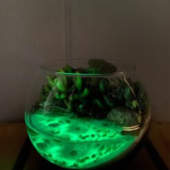 Флораріум що світиться у темряві