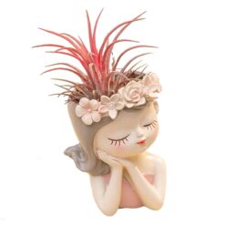 Вазон для тилландсии