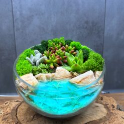 Флорариум с суккулентами