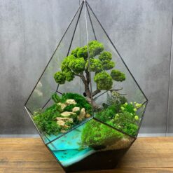 Мосаріум Бонсай біля річки