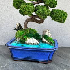 Бонсай на скелях зі стабілізованих рослин