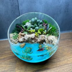 Флораріум з сукулентами