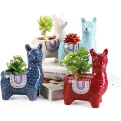 Пухнасті лами