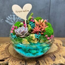 флораріум з сукулентами
