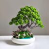 бонсай стабілізований