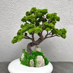 Композиція із стабілізованими рослинами - 30 см «Бонсай на скелях»