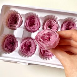 Троянда стабілізована піоновидна - колір Рожевий