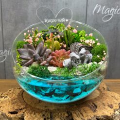 флораріум з сукулентами