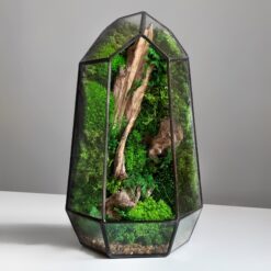 Мосаріум флораріум мінімалізм з мохом