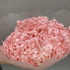 стабілізована гортензія рожева, стабілізована гортензія фіолетова, декоративна гортензія, квіти для декору, рожева гортензія, стабілізовані квіти, стабілізована гортензія 10 грам, квіти для квіткових композицій, квіти для прикрашання, рожева декоративна гортензія, квіти для інтер'єру, сухоцвіти для декору, рожева гортензія стабілізована, квіткові композиції з гортензії, стабілізована флористика, декор для свічок, гортензія для букетів, декор для весілля