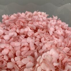 стабілізована гортензія рожева, стабілізована гортензія фіолетова, декоративна гортензія, квіти для декору, рожева гортензія, стабілізовані квіти, стабілізована гортензія 10 грам, квіти для квіткових композицій, квіти для прикрашання, рожева декоративна гортензія, квіти для інтер'єру, сухоцвіти для декору, рожева гортензія стабілізована, квіткові композиції з гортензії, стабілізована флористика, декор для свічок, гортензія для букетів, декор для весілля