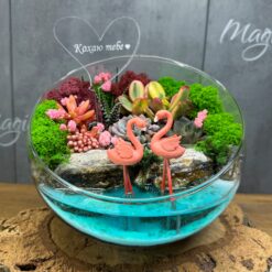флораріум з сукулентами