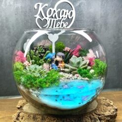 кохання, квіти, подарок, квіти у вазі, 14 лютого