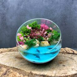 кохання, квіти, подарок, квіти у вазі, 14 лютого