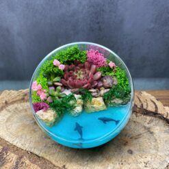 любовь, 14 февраля, цветы в вазе, суккуленты, цветы, подарок