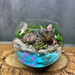 любовь, 14 февраля, цветы в вазе, суккуленты, цветы, подарок