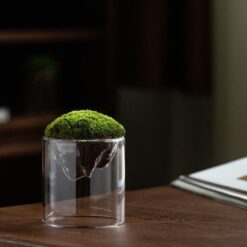 мох, декор, мосаріум, декор, мінімалізм